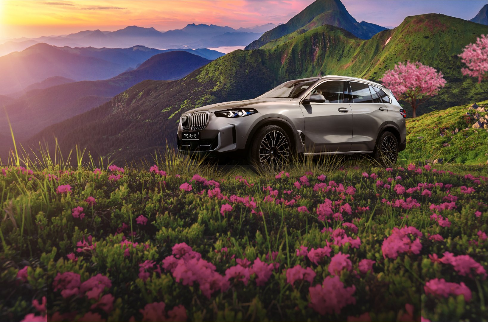 BMW Bình Định